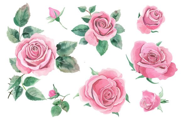 Watercolor Rose Flower Hand Painting: A Practical Resource for Creatives and Entrepreneurs